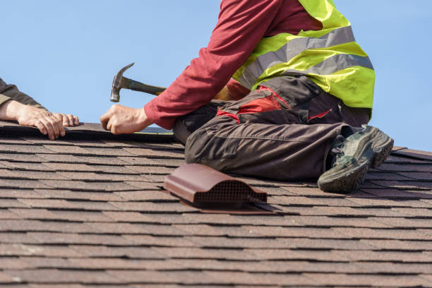 Best Roof Gutter Cleaning  in Raleigh, NC
