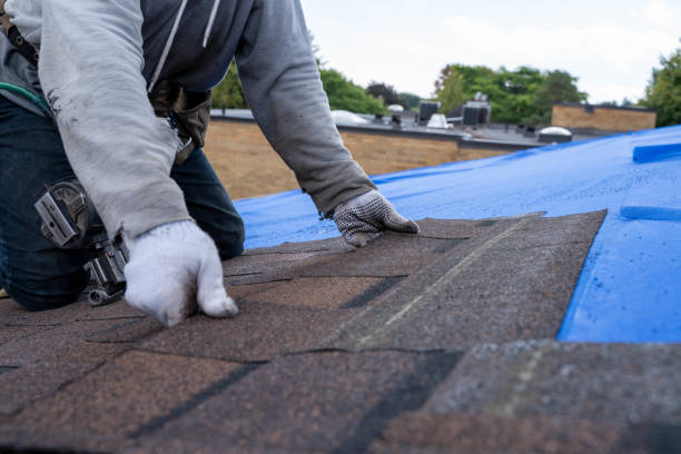 Best Storm Damage Roof Repair  in Raleigh, NC
