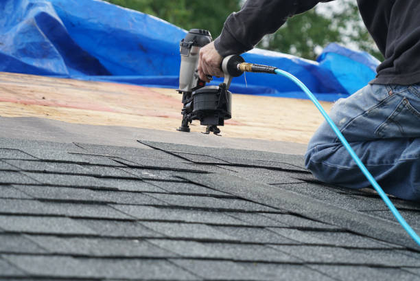 Best Metal Roofing Contractor  in Raleigh, NC
