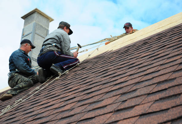Best Shingle Roofing Installation  in Raleigh, NC